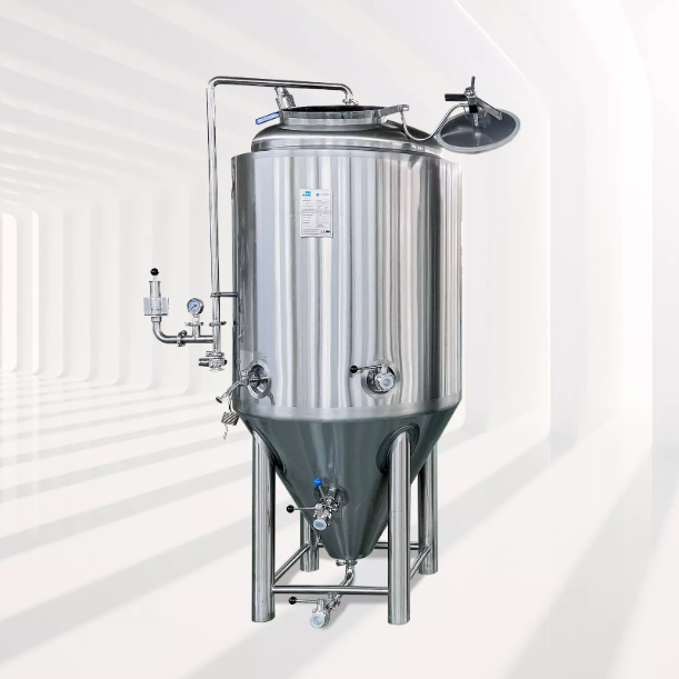 500L Fermentation Tank with Shadowless Manway